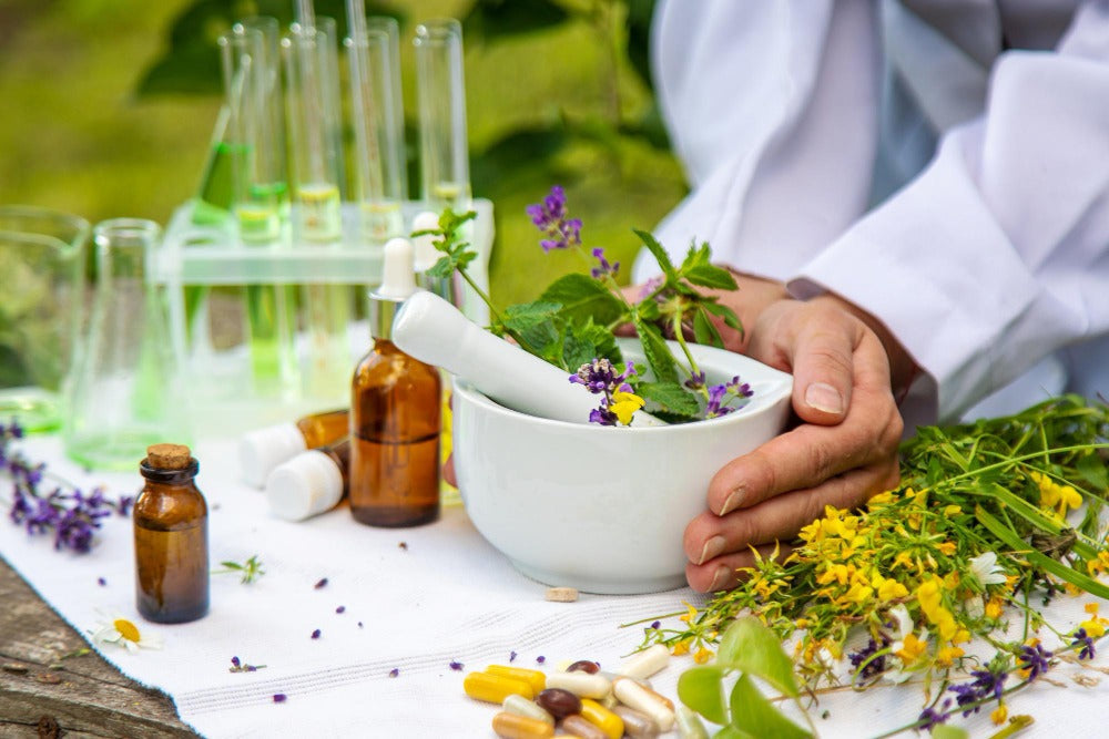The Science of Ayurveda: How Herbal Wisdom Supports Mind, Body & Hormones